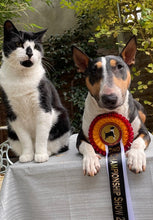 Load image into Gallery viewer, Nutrition and Wellness for Cats