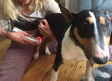 Load image into Gallery viewer, Photizo Vetcare silent version - Anna Webb