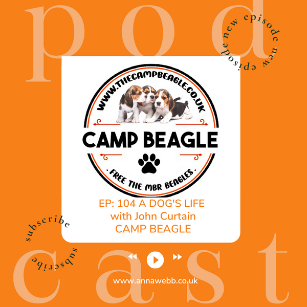 A Dog's Life with Anna Webb joined by John Curtin at Camp Beagle