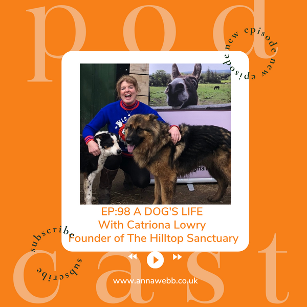 A Dog's Life with Anna Webb joined by Catriona Lowry of the Hilltop Sanctuary