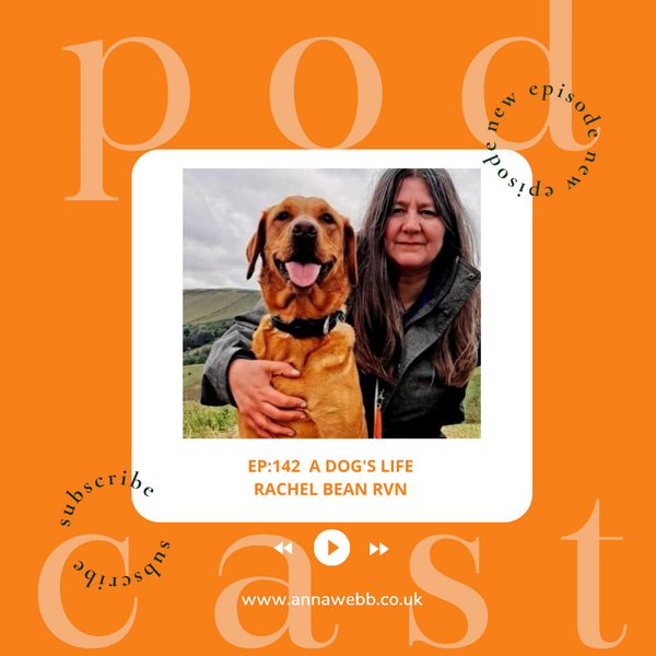 A Dog's Life with Anna Webb joined by Rachel Bean RVN