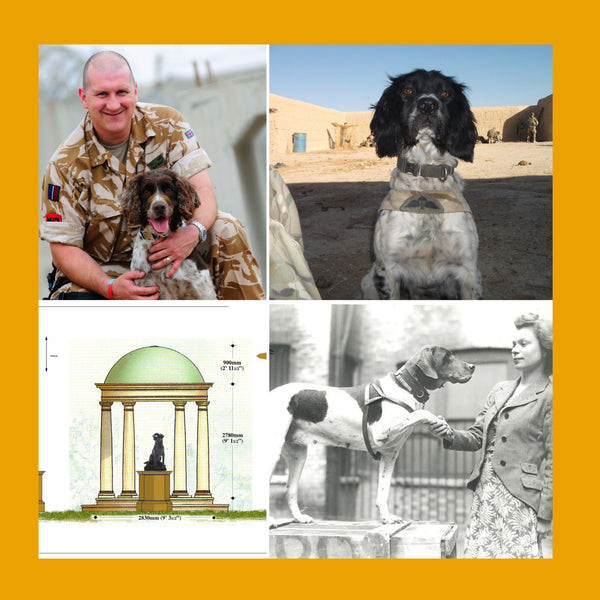'Lest We Forget' New memorial set to commemorate dogs that have served in our Armed Forces.