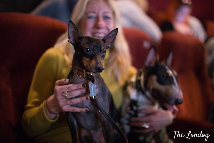 Dog-friendly Cinema! Picture House Central