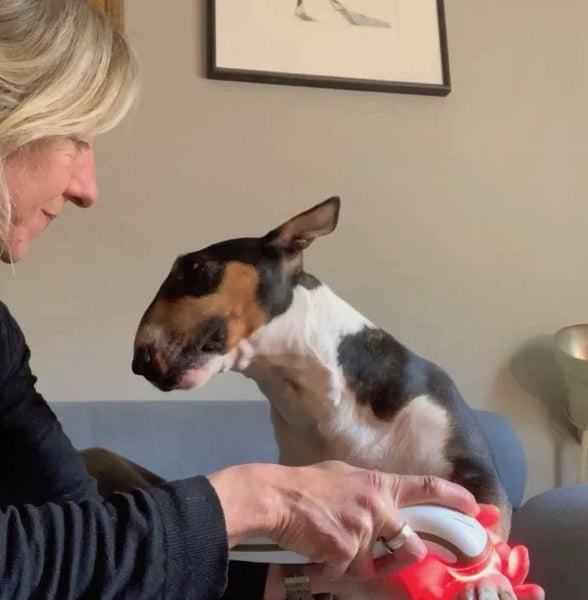 Could Red light be considered a nutrient like food?