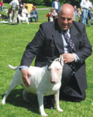 A Dog's Life with Anna Webb. The Unprecedented Demand for Puppies, with The Kennel Club's Bill Lambert