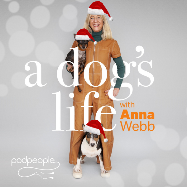 A Dog's Life - an overview of practical & ethical gifts for Christmas