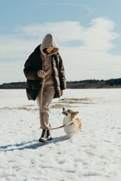 Could Walking Your Dog be the Best New Year's Resolution
