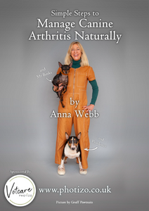 Manage Canine Arthritis - Anna Webb